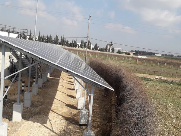 The array along the plant wall