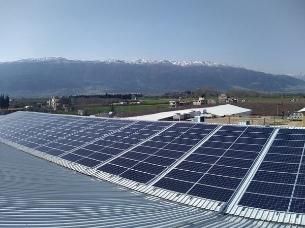 Rows across the metal roof