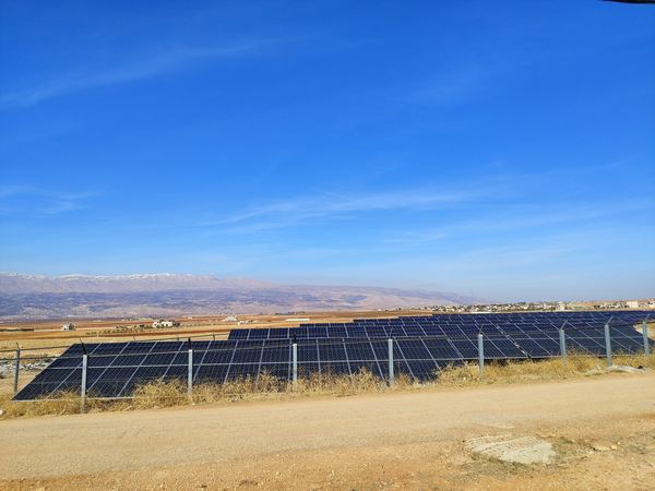 Rows seen across the plain