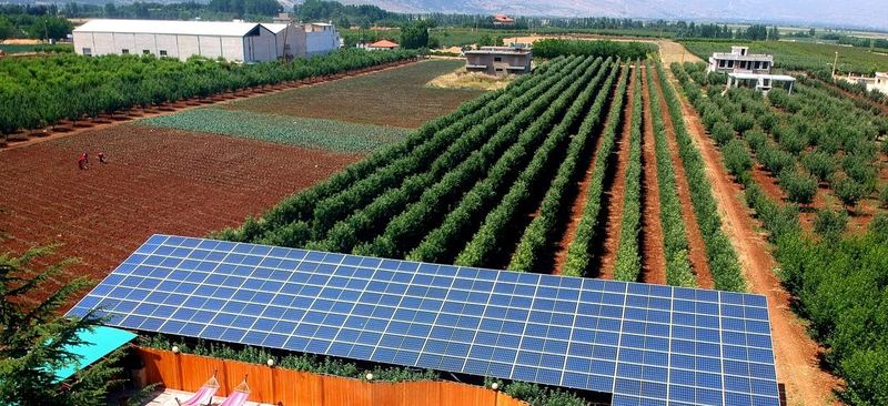 Elevated solar array beside the orchard rows
